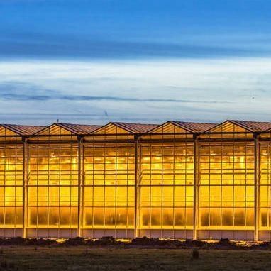 Environnement contrôlé Serre de plantation éclairée avec revêtement en verre et éclairage