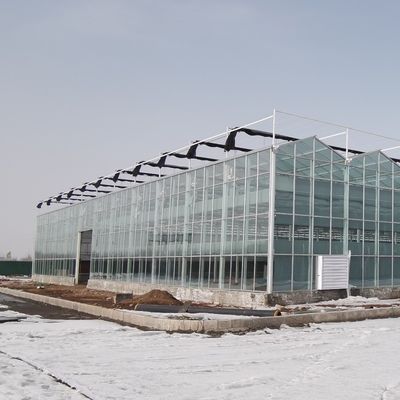 Serre hydroponique personnalisée avec système de contrôle du climat et double couche de verre