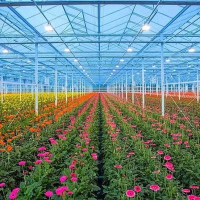 Système hydroponique de serre en verre pour les légumes et les fleurs