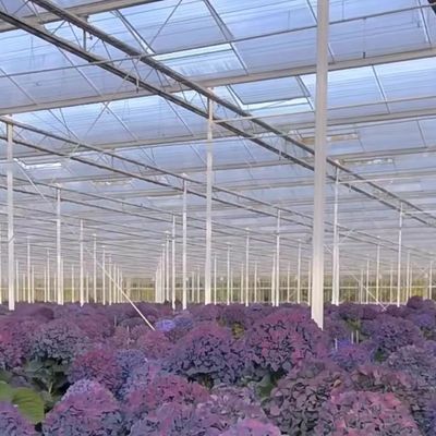 Serre en verre d'acier galvanisé DIP à chaud JX-A0082 pour le marché des serres commerciales