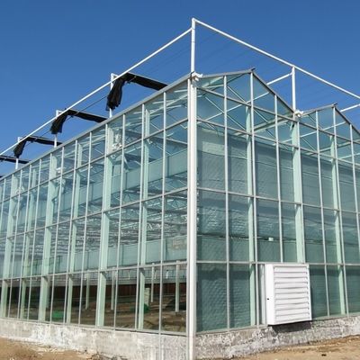 Double verre à couche avec système de contrôle climatique pour l'agriculture et l'agriculture personnalisées