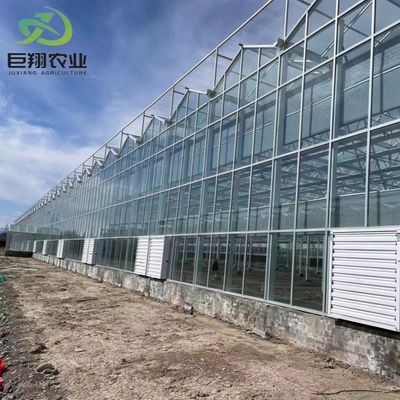 Double verre à couche avec système de contrôle climatique pour l'agriculture et l'agriculture personnalisées
