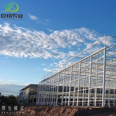 Méthode de culture hydroponique Agriculture Serre en verre pour tomates et fruits tempérée