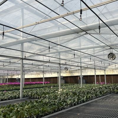 Serre agricole en verre de grande taille et de style Venlo avec système de contrôle automatique
