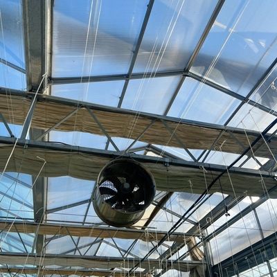 Serre agricole en verre de grande taille et de style Venlo avec système de contrôle automatique