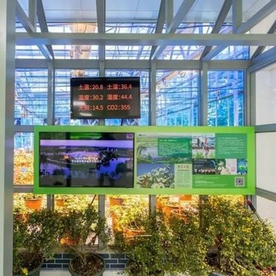 Serre personnalisée pour l'agriculture Verre commercial/Verre trempé/Verre flottant