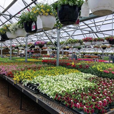 Serre personnalisée pour l'agriculture Verre commercial/Verre trempé/Verre flottant