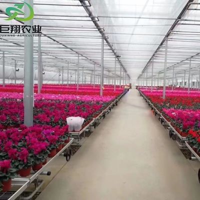 Serre personnalisée pour l'agriculture Verre commercial/Verre trempé/Verre flottant