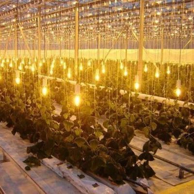 Serre d'éclairage contrôlée par pulvérisateur à eau à double couche pour les solutions de plantation