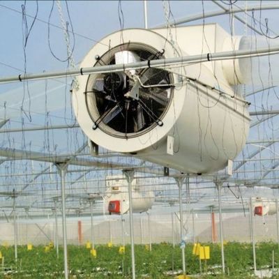 Serre d'éclairage contrôlée par pulvérisateur à eau à double couche pour les solutions de plantation