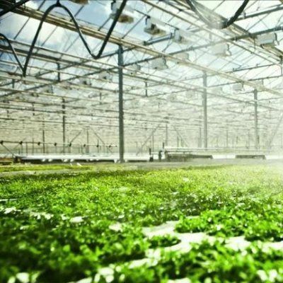 Serre d'éclairage contrôlée par pulvérisateur à eau à double couche pour les solutions de plantation
