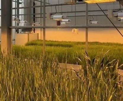 Serre d'éclairage contrôlée par pulvérisateur à eau à double couche pour les solutions de plantation
