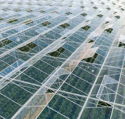 Méthode de culture hydroponique chauffage commercial Serre en verre pour jardin