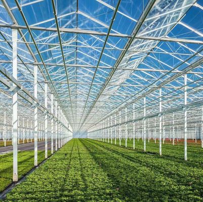 Méthode de culture hydroponique chauffage commercial Serre en verre pour jardin