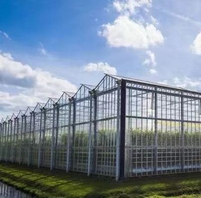 Méthode de culture hydroponique chauffage commercial Serre en verre pour jardin