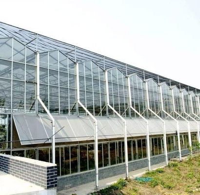 Méthode de culture hydroponique chauffage commercial Serre en verre pour jardin