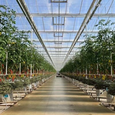 Serre en verre Ju Xiang avec toit de type Coût d'expédition et délai de livraison estimé