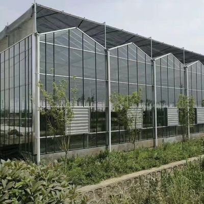 Serre en verre d'origine chinoise La solution parfaite pour l'agriculture commerciale à grande échelle