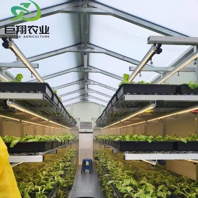 Serre JX-Glass personnalisée 2023 Juxiang équipement agricole avec système de refroidissement