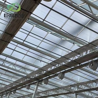 Serre JX-Glass personnalisée 2023 Juxiang équipement agricole avec système de refroidissement