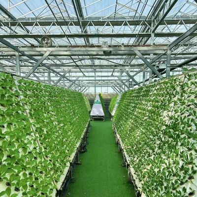Serre à double couche en verre pour les fleurs sur mesure selon vos spécifications