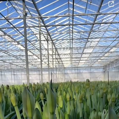 Système d'écran d'ombrage multi-étendue Serre en verre
