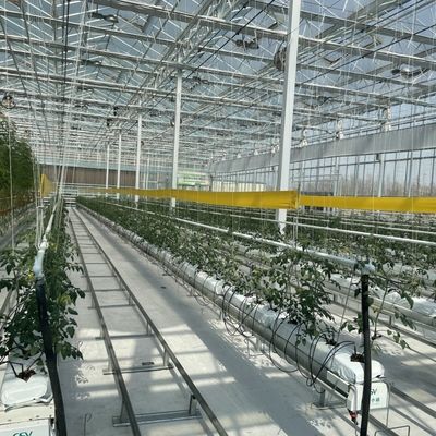 Système d'écran d'ombrage multi-étendue Serre en verre