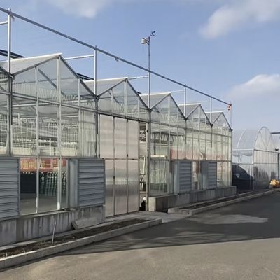 Serre en verre à couche unique pour l'horticulture adaptée à vos besoins