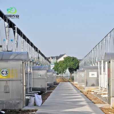 8m 9,6m 12m Film de plastique personnalisé en étendue Agriculture avec système de culture hydroponique
