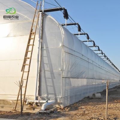 8m 9,6m 12m Film de plastique personnalisé en étendue Agriculture avec système de culture hydroponique