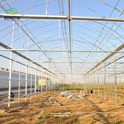 8m 9,6m 12m Film de plastique personnalisé en étendue Agriculture avec système de culture hydroponique