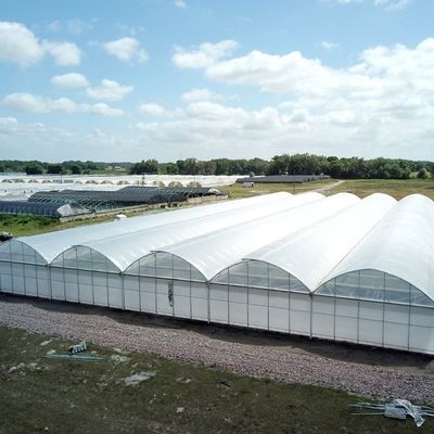 8m 9,6m 12m Film de plastique personnalisé en étendue Agriculture avec système de culture hydroponique