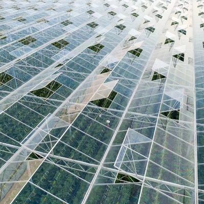 Serre en verre flottant pour la culture des plantes