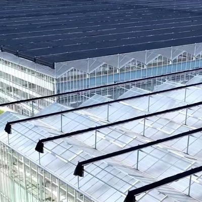 Serre en verre flottant pour la culture des plantes