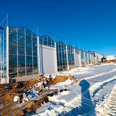 Serre en verre flottant pour la culture des plantes