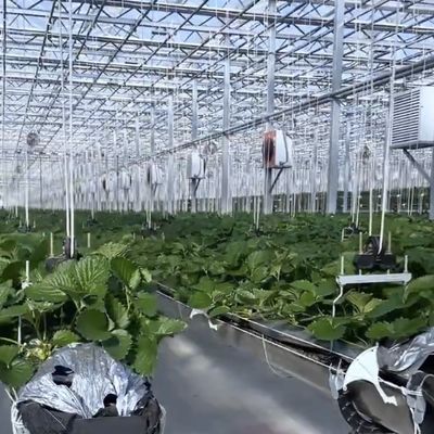 Serre en verre flottant pour la culture des plantes