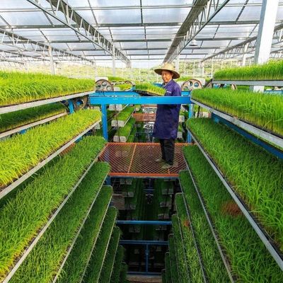 Système d'irrigation hydroponique pour les fraises/fleurs/légumes Serre en plastique galvanisé en acier à cadres multifonctions