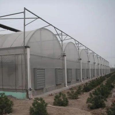 Système d'irrigation hydroponique pour les fraises/fleurs/légumes Serre en plastique galvanisé en acier à cadres multifonctions