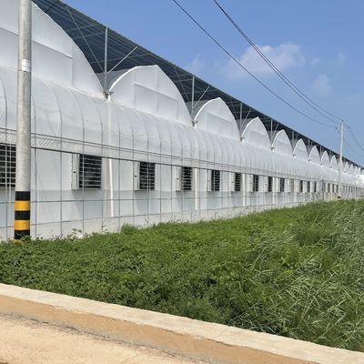 Système d'irrigation hydroponique pour les fraises/fleurs/légumes Serre en plastique galvanisé en acier à cadres multifonctions