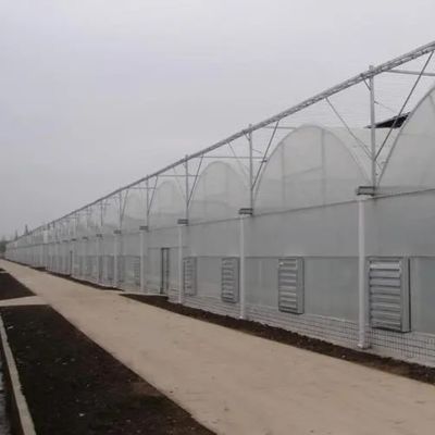 Système d'irrigation hydroponique pour les fraises/fleurs/légumes Serre en plastique galvanisé en acier à cadres multifonctions