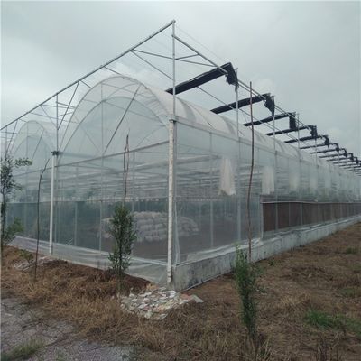 Système d'irrigation hydroponique pour les fraises/fleurs/légumes Serre en plastique galvanisé en acier à cadres multifonctions