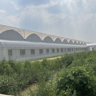 Système d'irrigation hydroponique pour les fraises/fleurs/légumes Serre en plastique galvanisé en acier à cadres multifonctions
