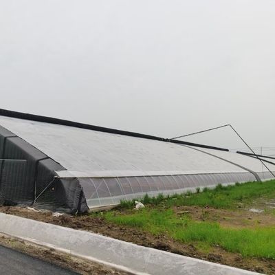 Structure de tuyaux en acier galvanisé à chaud pour système hydroponique et diverses cultures