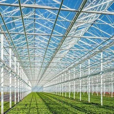 Serre à lumière du soleil, hydroponie à plusieurs étendues, serre en film plastique pour exploitation agricole commerciale
