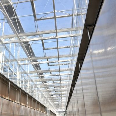 Serre à lumière du soleil, hydroponie à plusieurs étendues, serre en film plastique pour exploitation agricole commerciale