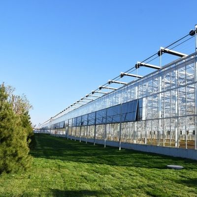 Serre à lumière du soleil, hydroponie à plusieurs étendues, serre en film plastique pour exploitation agricole commerciale