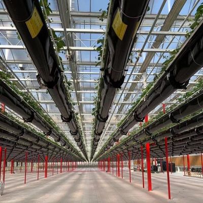Grande serre en verre pour une croissance durable US 20 / mètre carré Grande taille