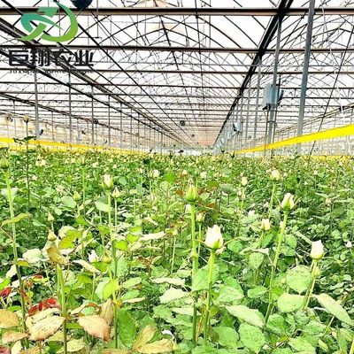 Produit à base d'hydroponie à longue portée en plastique, serre agricole pour exploitation commerciale