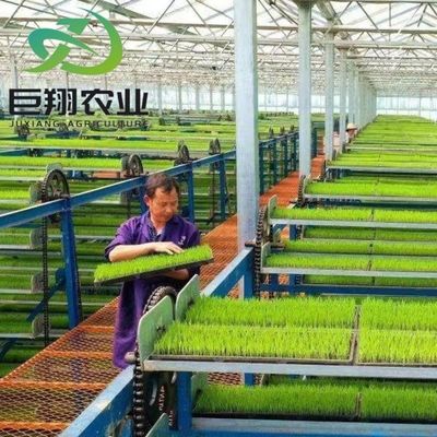 Produit à base d'hydroponie à longue portée en plastique, serre agricole pour exploitation commerciale