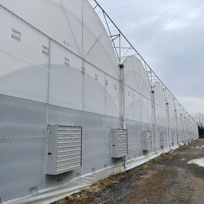 Serre agricole pour exploitation agricole à plusieurs étages hydroponique en film plastique